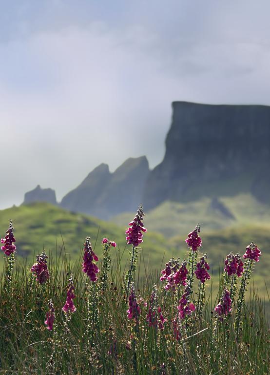 Storr Apartments Portree Kültér fotó